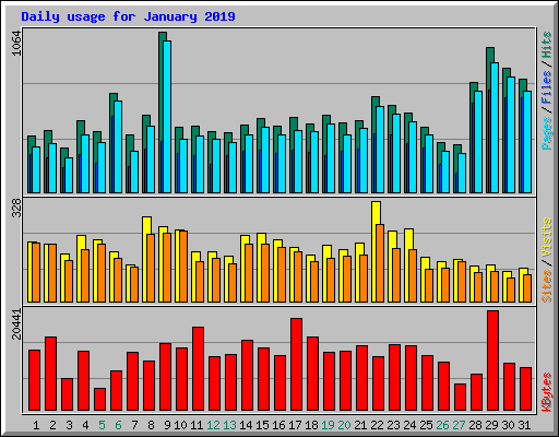 Daily usage for January 2019