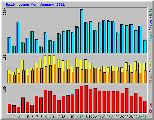 Daily usage for January 2021