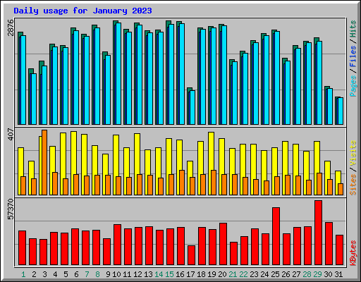 Daily usage for January 2023