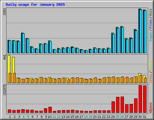 Daily usage for January 2025
