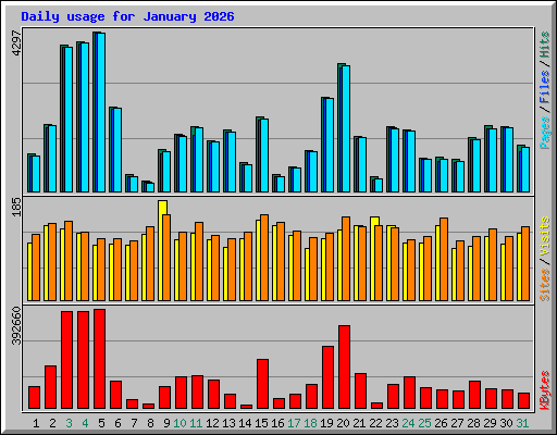 Daily usage for January 2026