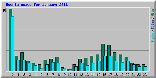 Hourly usage for January 2011