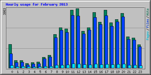 Hourly usage for February 2013