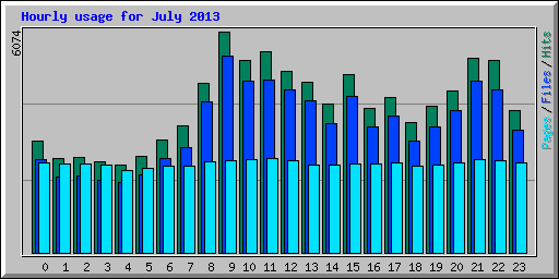 Hourly usage for July 2013