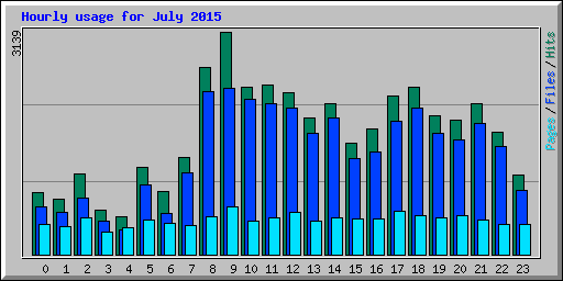 Hourly usage for July 2015