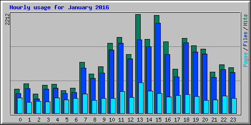Hourly usage for January 2016