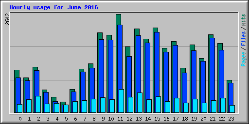 Hourly usage for June 2016
