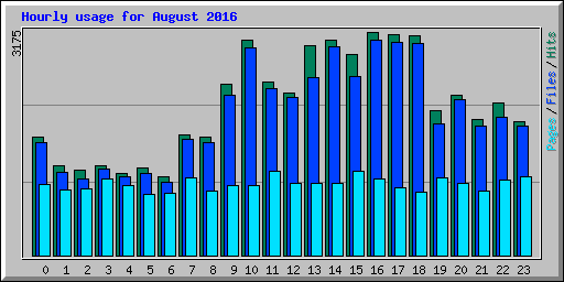 Hourly usage for August 2016