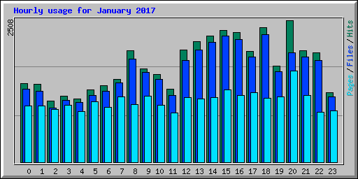 Hourly usage for January 2017