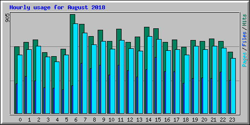 Hourly usage for August 2018