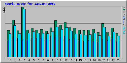 Hourly usage for January 2019