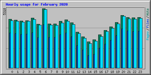 Hourly usage for February 2020