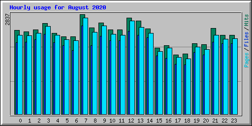 Hourly usage for August 2020