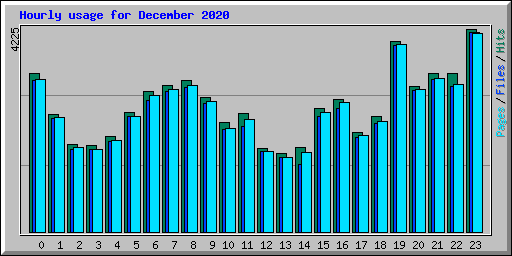 Hourly usage for December 2020