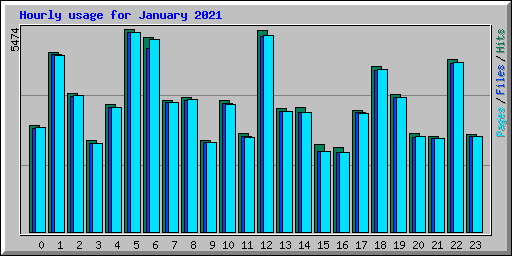 Hourly usage for January 2021