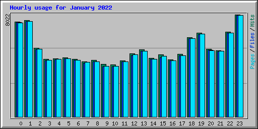 Hourly usage for January 2022