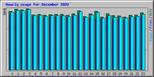 Hourly usage for December 2022
