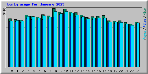 Hourly usage for January 2023