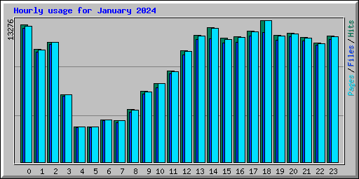 Hourly usage for January 2024