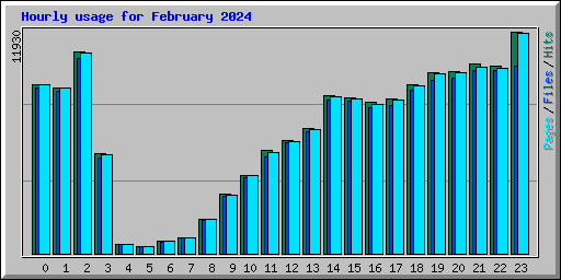 Hourly usage for February 2024