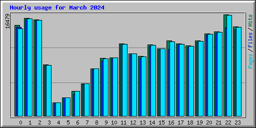 Hourly usage for March 2024