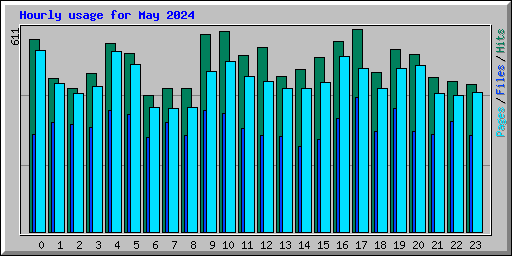 Hourly usage for May 2024