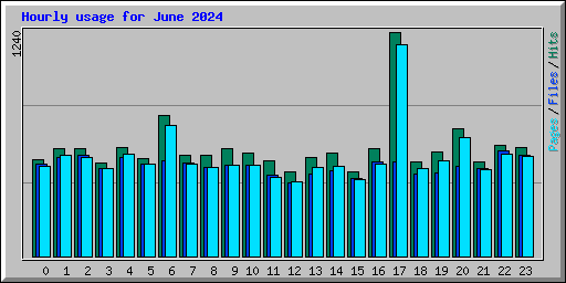 Hourly usage for June 2024