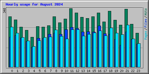 Hourly usage for August 2024
