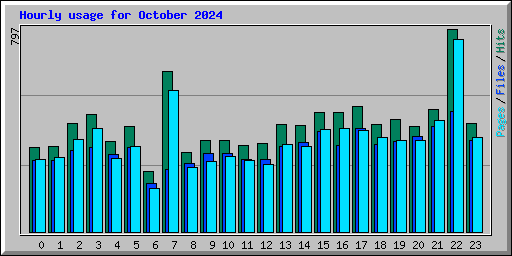 Hourly usage for October 2024