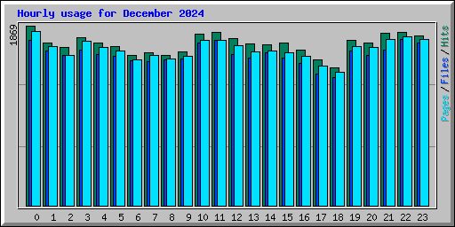 Hourly usage for December 2024