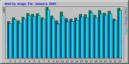Hourly usage for January 2025