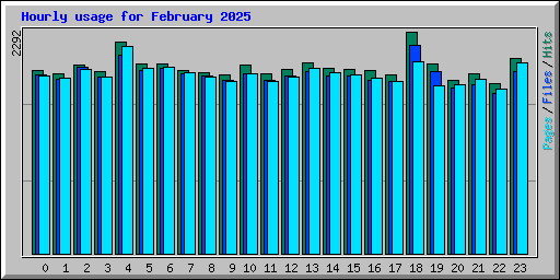 Hourly usage for February 2025