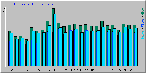 Hourly usage for May 2025