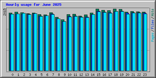 Hourly usage for June 2025