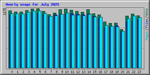 Hourly usage for July 2025