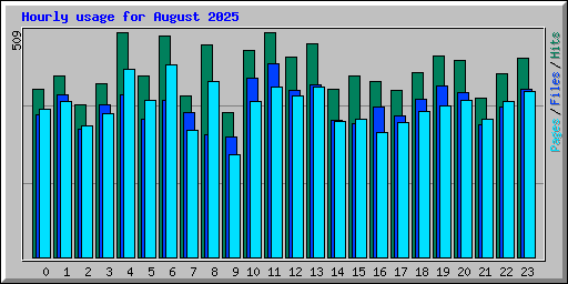 Hourly usage for August 2025