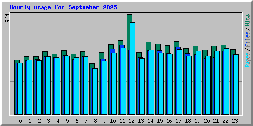 Hourly usage for September 2025