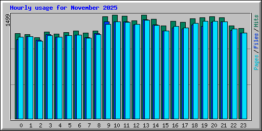 Hourly usage for November 2025