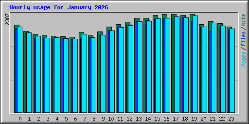 Hourly usage for January 2026