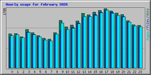 Hourly usage for February 2026