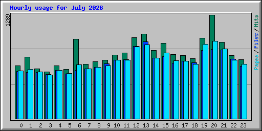 Hourly usage for July 2026